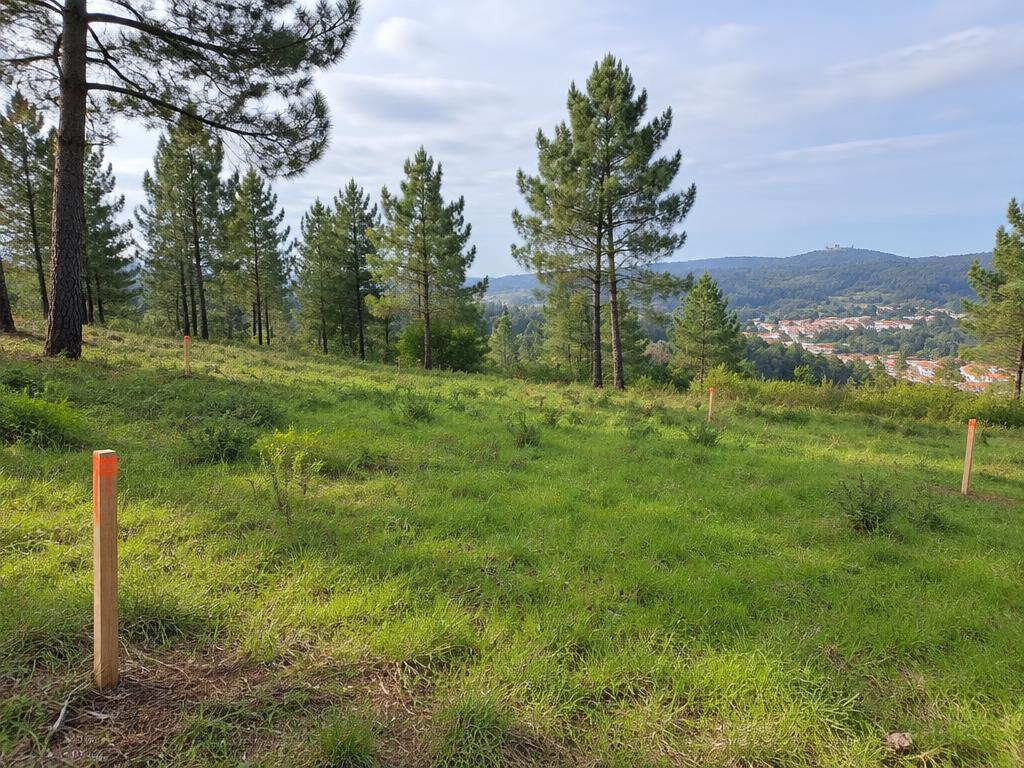 Terrenos